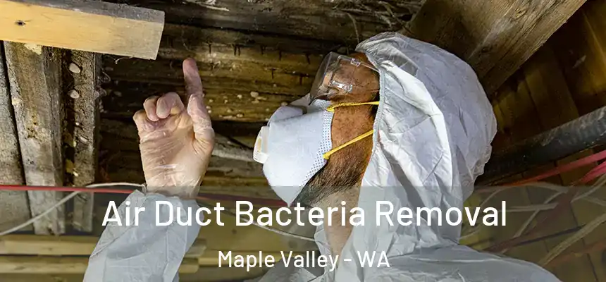  Air Duct Bacteria Removal Maple Valley - WA