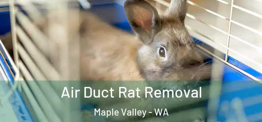  Air Duct Rat Removal Maple Valley - WA