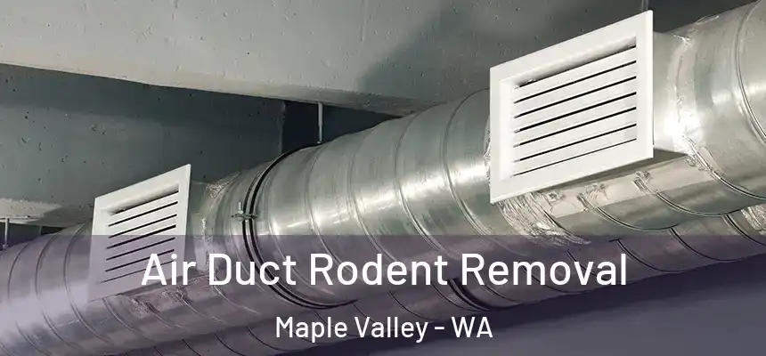  Air Duct Rodent Removal Maple Valley - WA