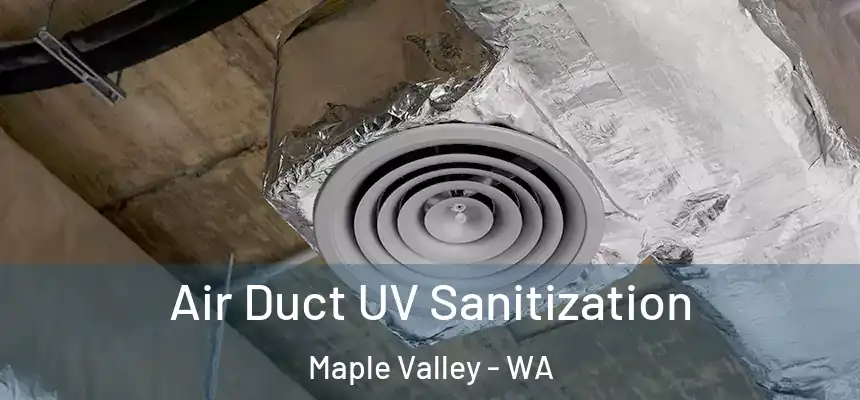  Air Duct UV Sanitization Maple Valley - WA
