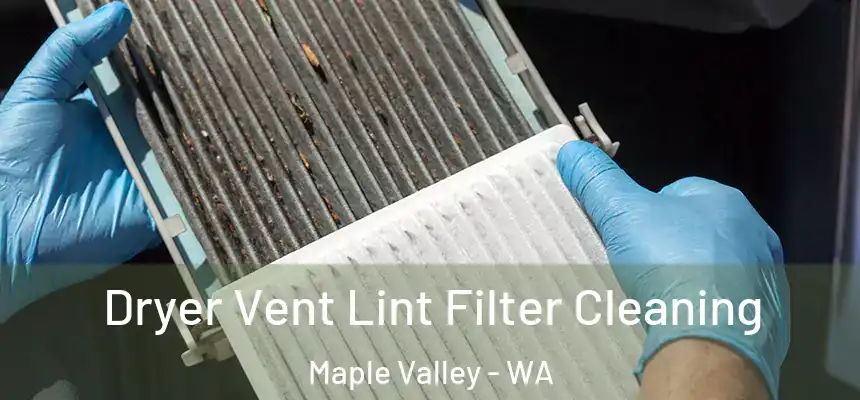 Dryer Vent Lint Filter Cleaning Maple Valley - WA
