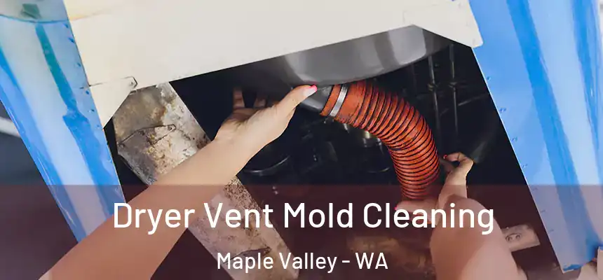  Dryer Vent Mold Cleaning Maple Valley - WA
