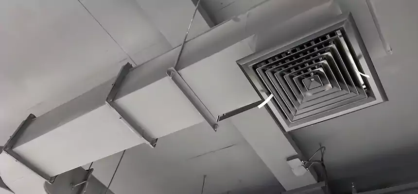 Restorative Allergy Relief Vent Cleaning – Coil, Blower & Housing Detail in Maple Valley