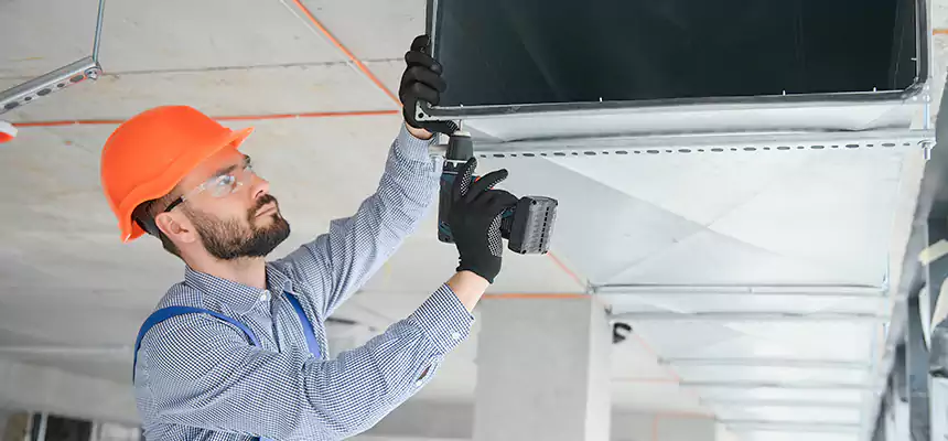 Roof Cap & Exterior Hood Lint Buildup Removal – Maple Valley