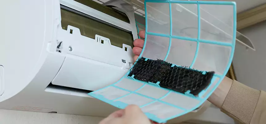 Gentle Ductwork Odor-Control Pet Dander Duct Cleaning in Maple Valley, WA