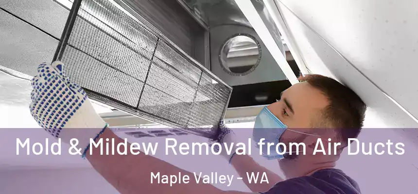  Mold & Mildew Removal from Air Ducts Maple Valley - WA
