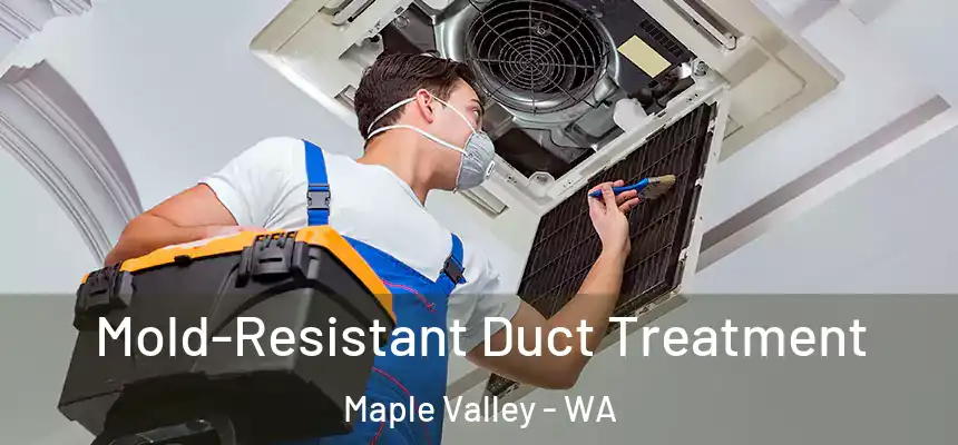  Mold-Resistant Duct Treatment Maple Valley - WA