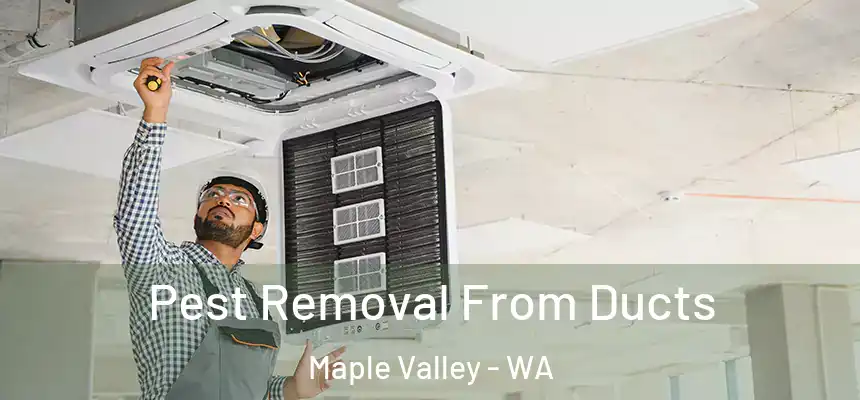  Pest Removal From Ducts Maple Valley - WA