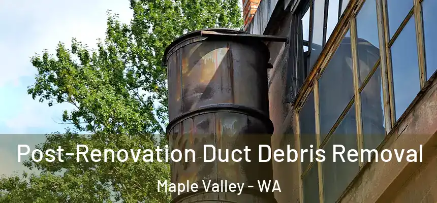  Post-Renovation Duct Debris Removal Maple Valley - WA