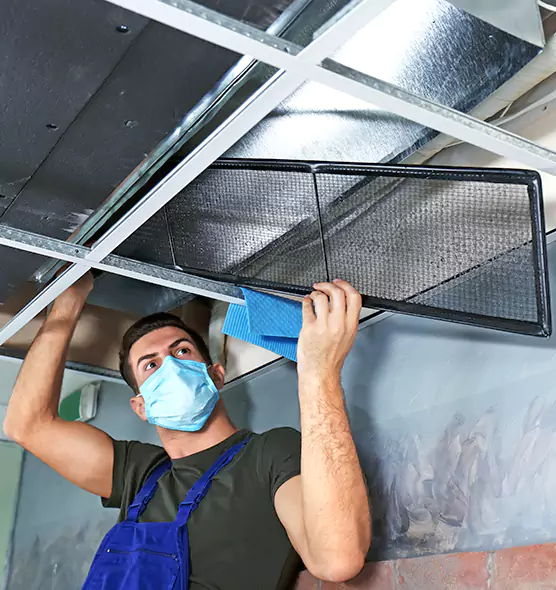 About Air Duct Bacteria Removal in Maple Valley