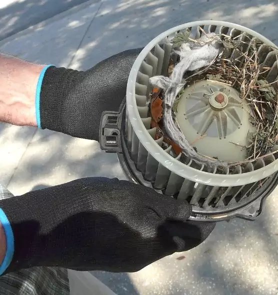 About Air Duct Mice Removal in Maple Valley, WA