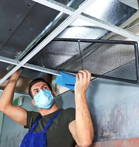 Professional Air Duct Pollen Cleaning in Maple Valley, WA