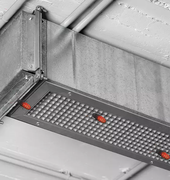 Affordable Insect Removal from Air Ducts in Maple Valley, WA