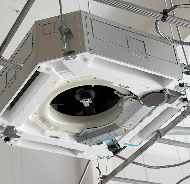 Why Homeowners & Businesses Trust Us in Maple Valley, WA?