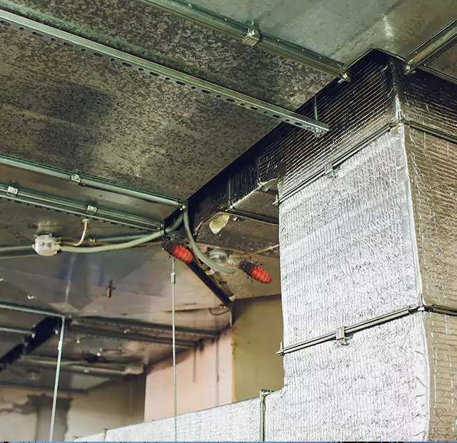 Why Homeowners & Businesses Trust Us Maple Valley, WA?