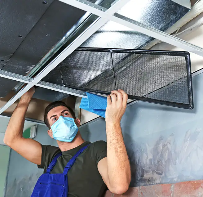 Why Homeowners & Businesses Trust Us in Maple Valley, WA?