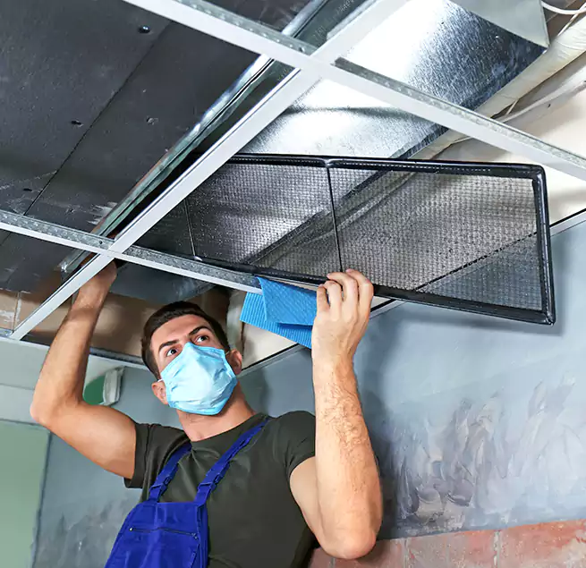 Why Homeowners Businesses Trust Us in Maple Valley, WA