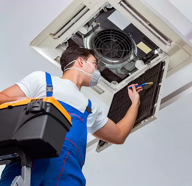 Why Homeowners & Businesses Trust Us in Maple Valley, WA?